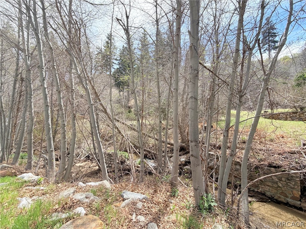 29949 Hook Creek Road Cedar Glen, CA 92321 - Photo 1 of 6