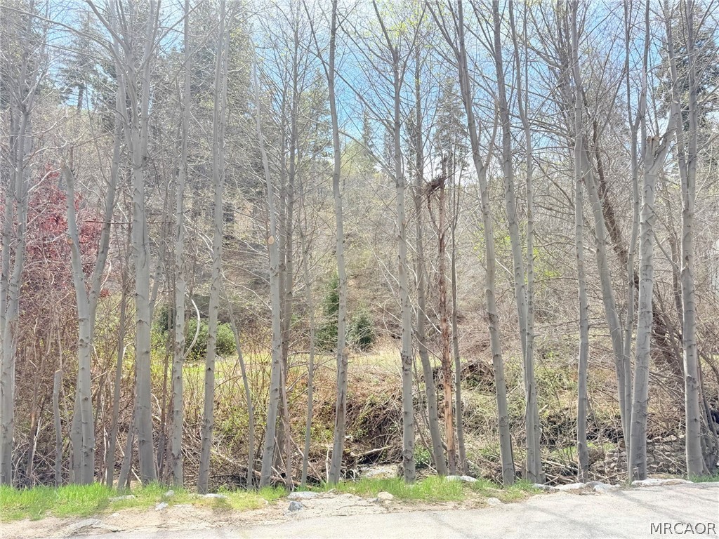 29949 Hook Creek Road Cedar Glen, CA 92321 - Photo 3 of 6