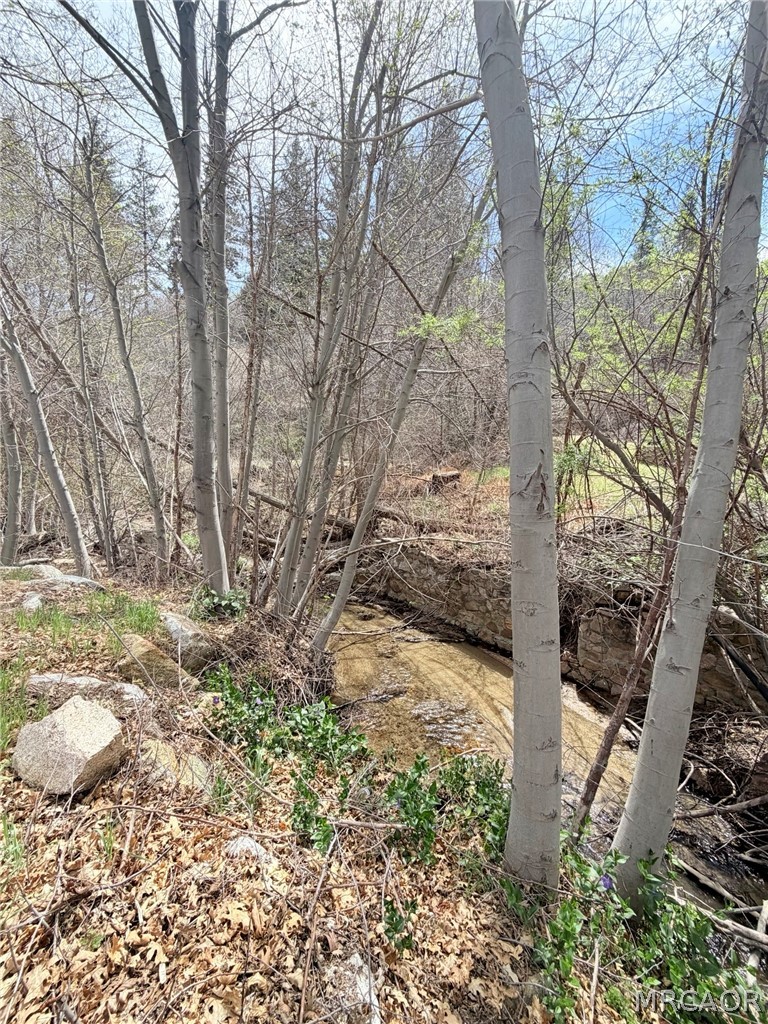 29949 Hook Creek Road Cedar Glen, CA 92321 - Photo 5 of 6
