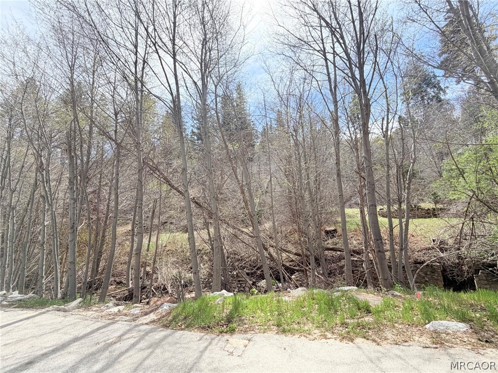 29949 Hook Creek Road Cedar Glen, CA 92321 - Photo 6 of 6