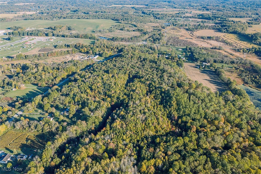 Youngstown Salem Road Salem, OH 44460 - Photo 1 of 18 View of property location with a forest