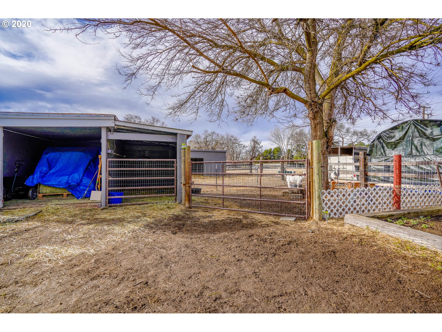 29786 Bridge Road Hermiston, OR 97838 - Photo 15 of 30 Gallery Image 15