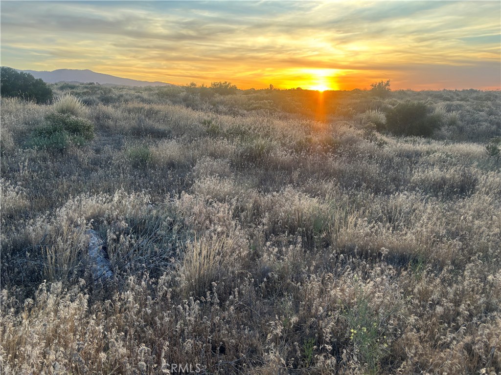 0 Wilson Ranch Road Phelan, CA 92371 - Photo 1 of 1