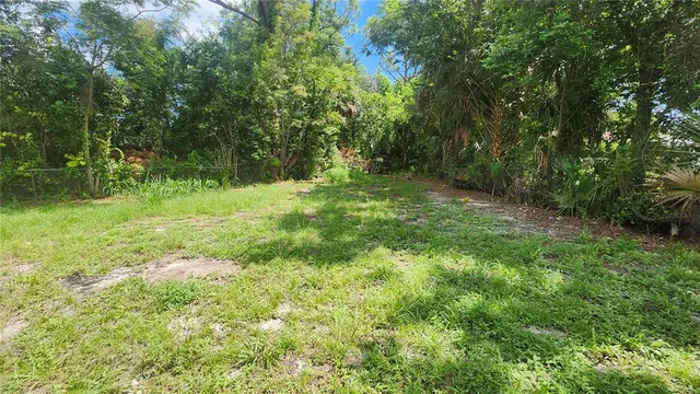 a view of a yard with plants and large trees