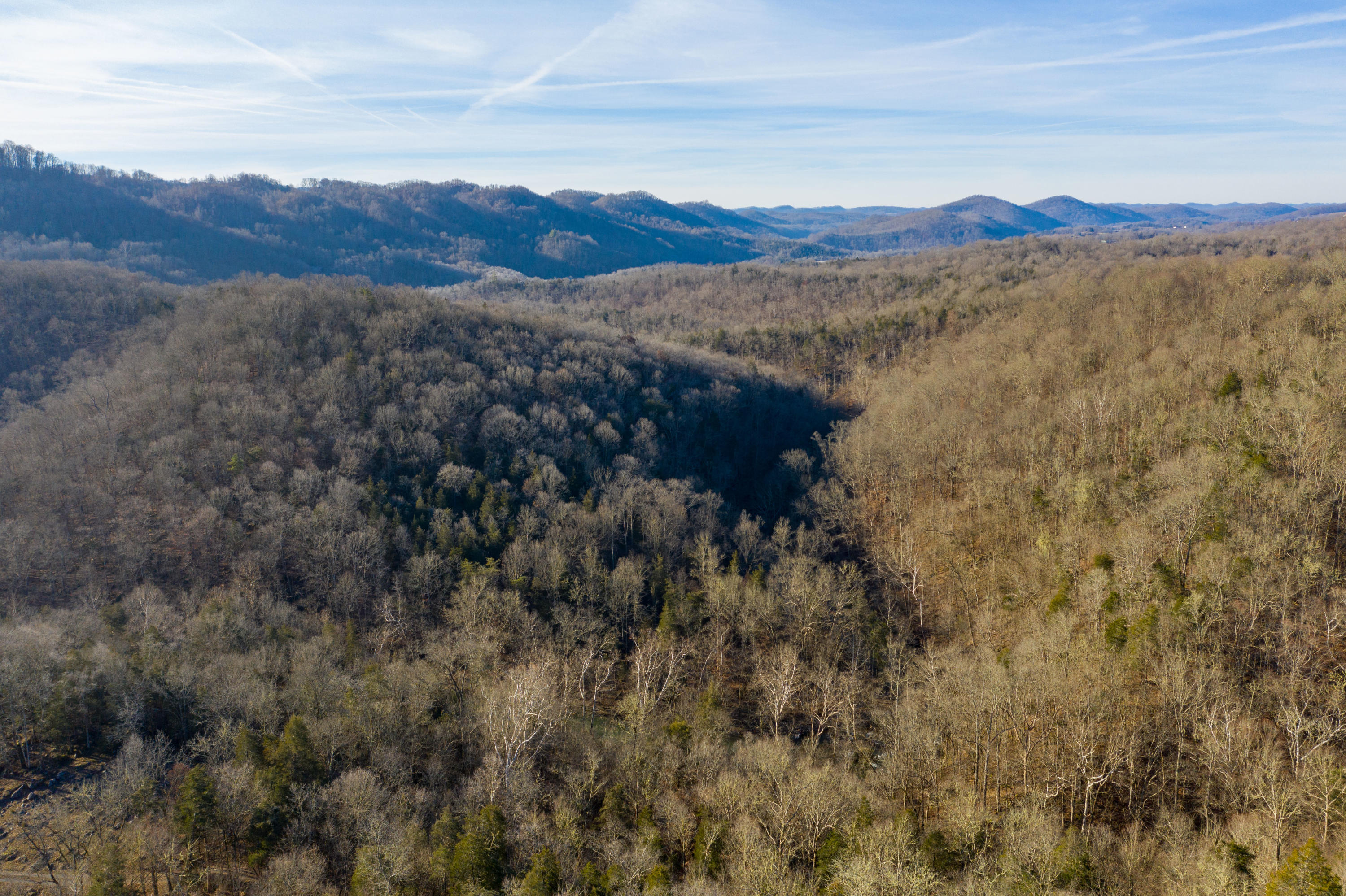 0 Hales Spring Road Gate City, VA 24251 - Photo 3 of 30 Land 1-1