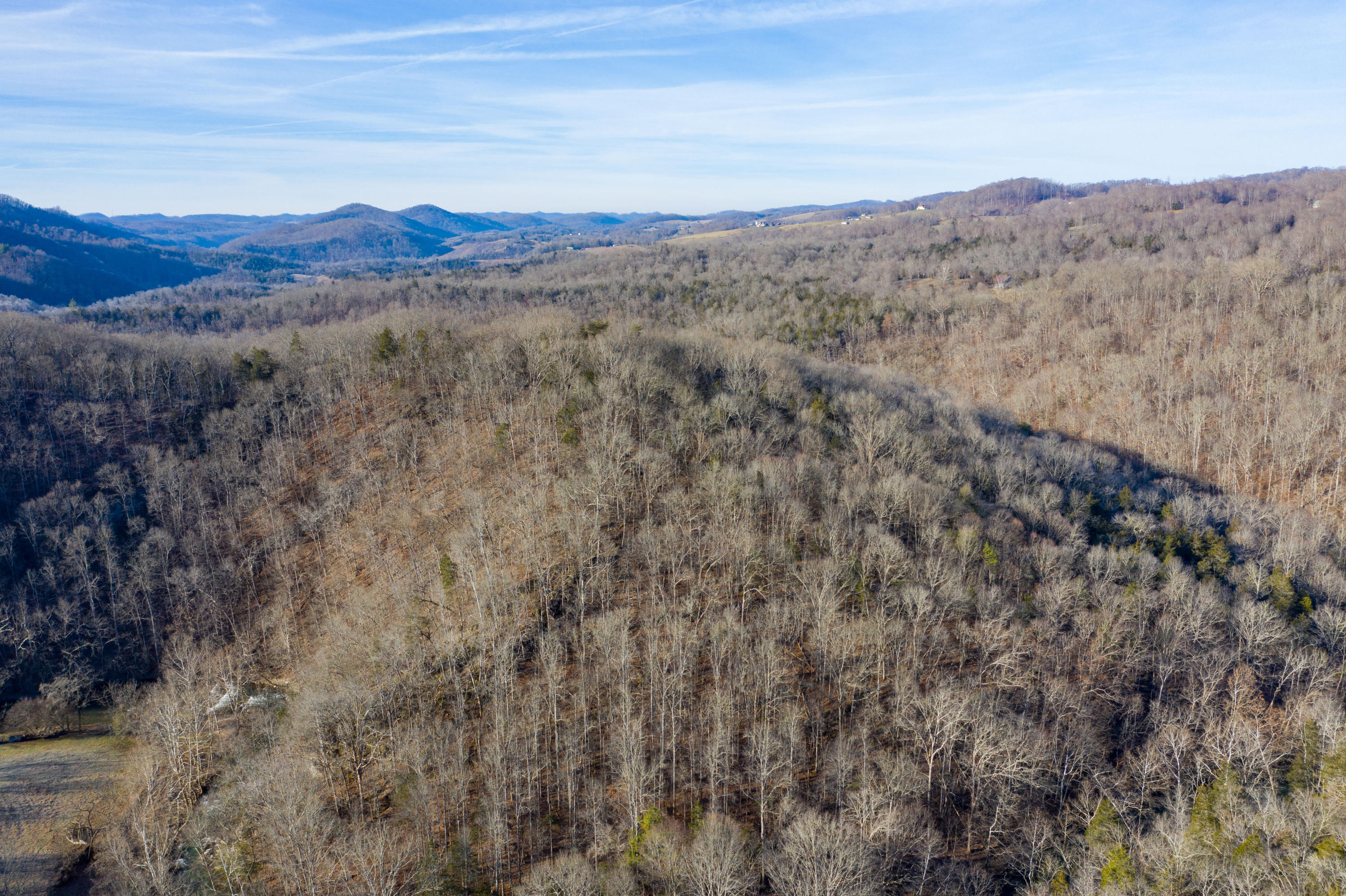 0 Hales Spring Road Gate City, VA 24251 - Photo 8 of 30 Land 1-8