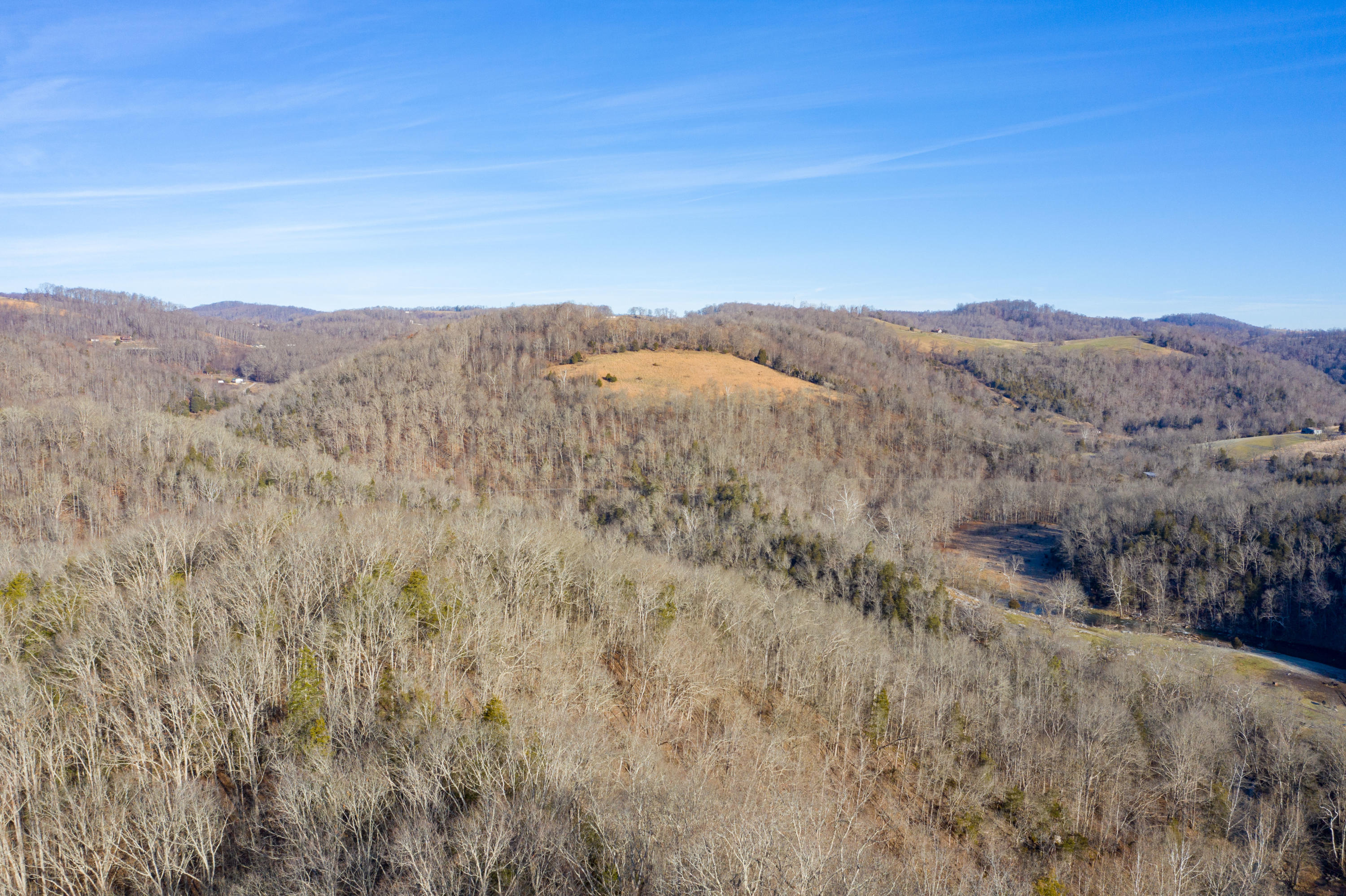 0 Hales Spring Road Gate City, VA 24251 - Photo 10 of 30 Land 1-10
