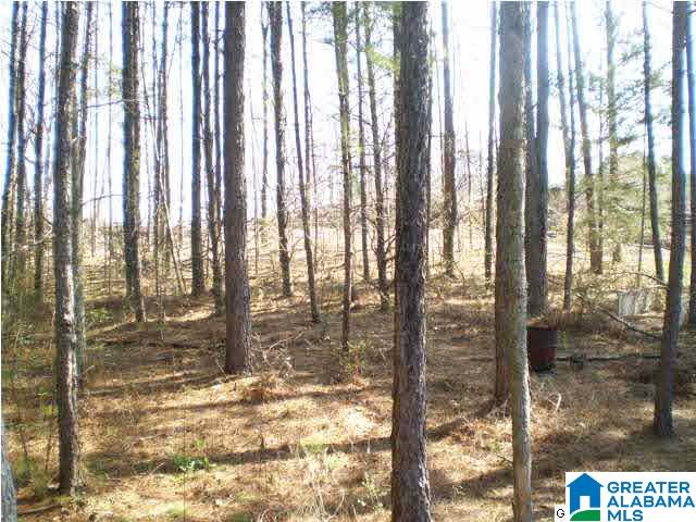 149 Prophecy Lane Springville, AL 35146 - Photo 9 of 32