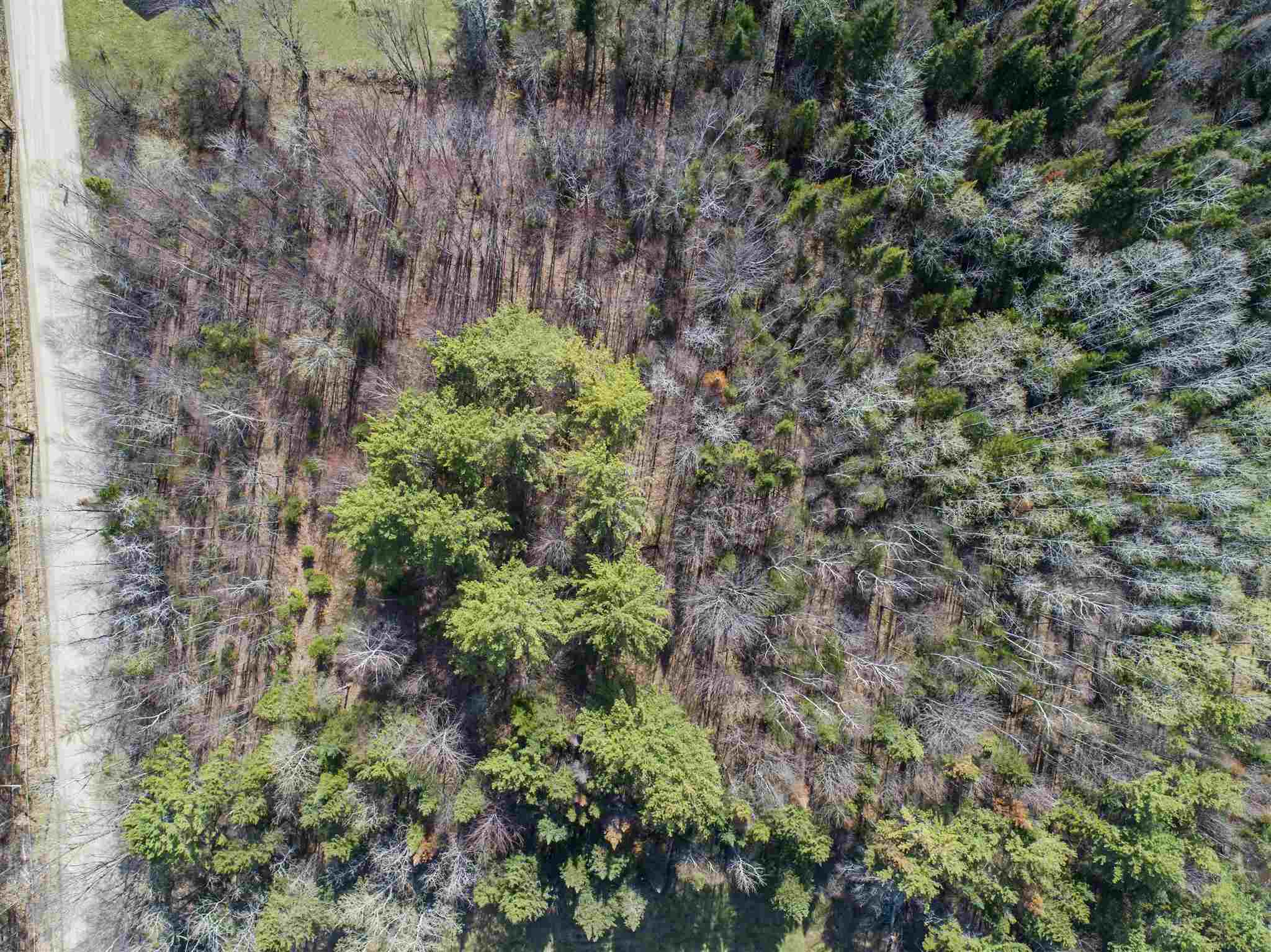 Lot 1 Reed Road Lancaster, NH 03584 - Photo 8 of 9