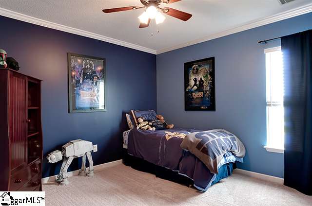 3 Brunner Court Greer, SC 29650 - Photo 17 of 25 Gallery Image 17