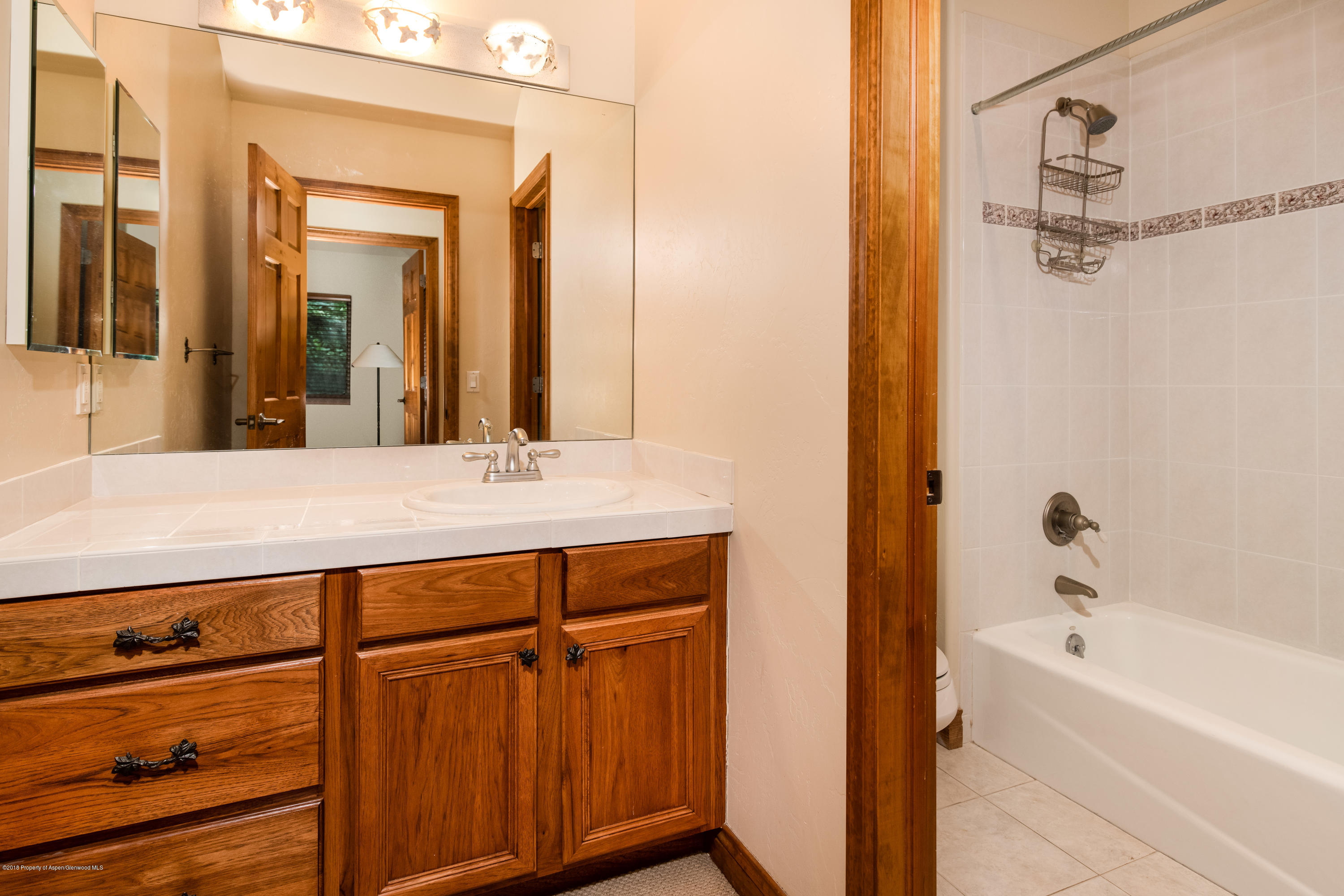 306 Allison Lane Basalt, CO 81621 - Photo 13 of 20 306AllisonLn_HiRes006