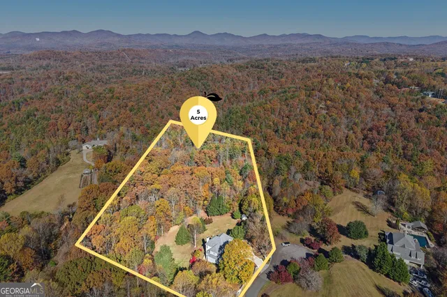 a living room with furniture wooden floor and a fireplace