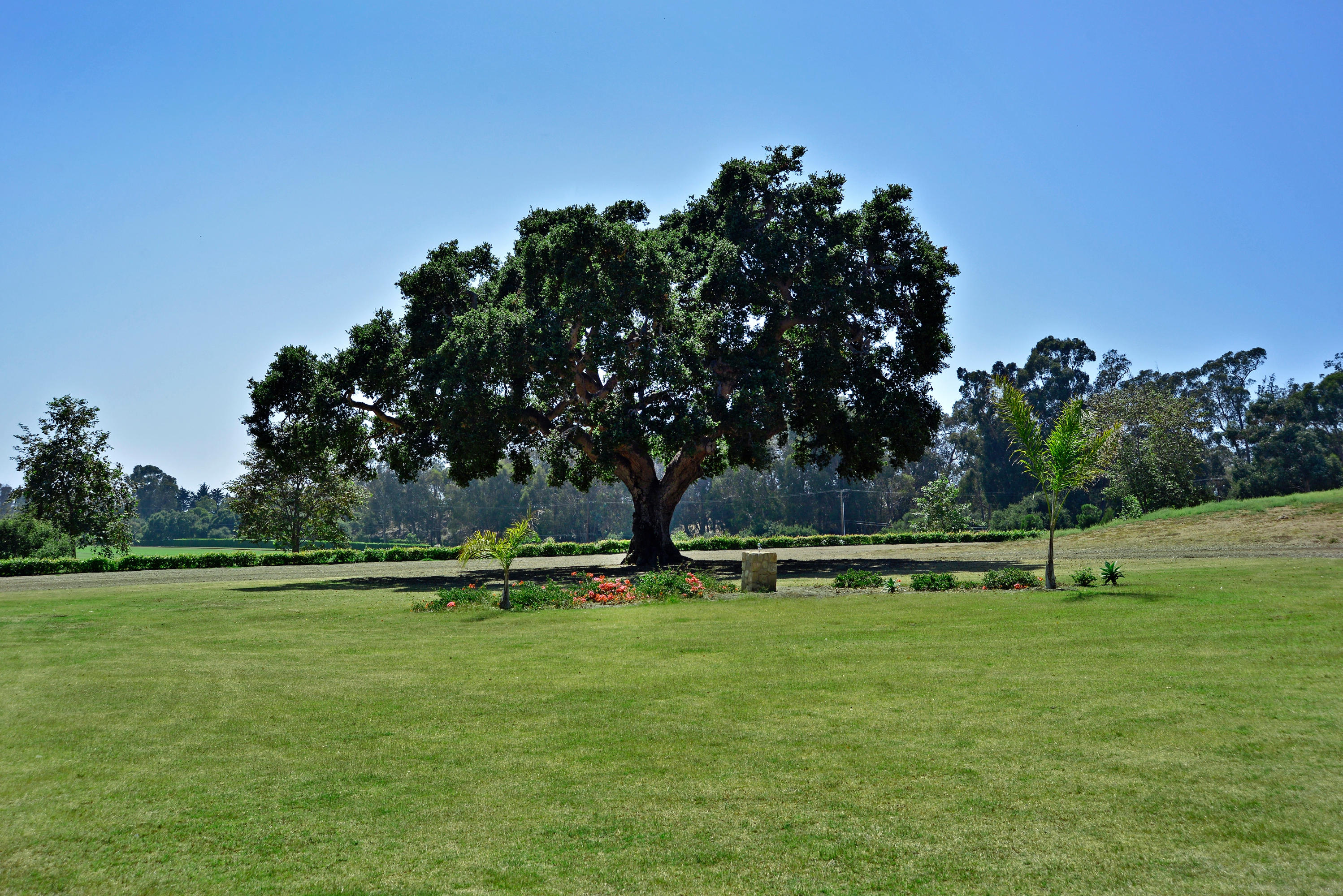 200 Lambert Road Carpinteria, CA 93013 - Photo 13 of 25 a view of outdoor space with trees all around