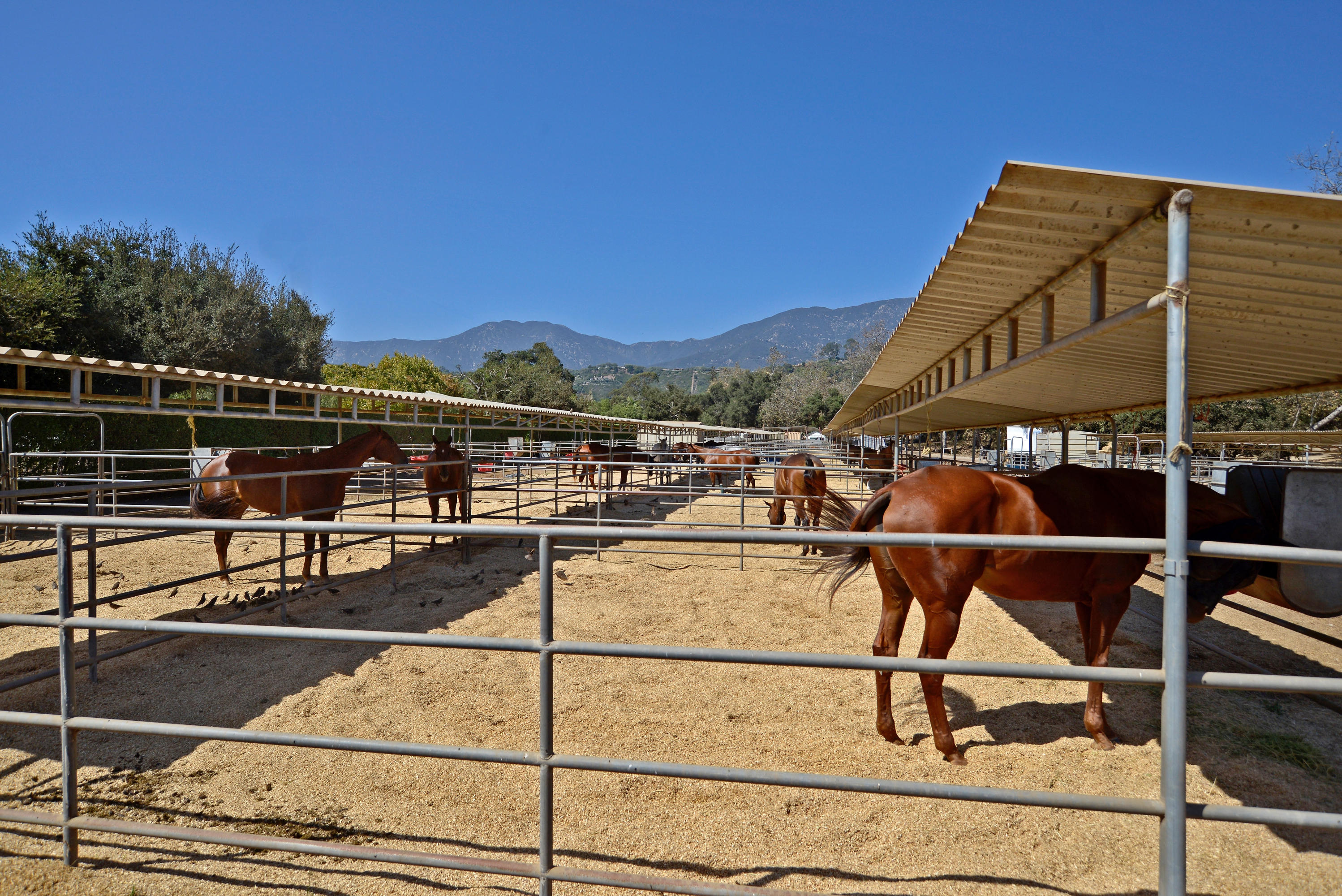 200 Lambert Road Carpinteria, CA 93013 - Photo 16 of 25 a view of a balcony with chairs