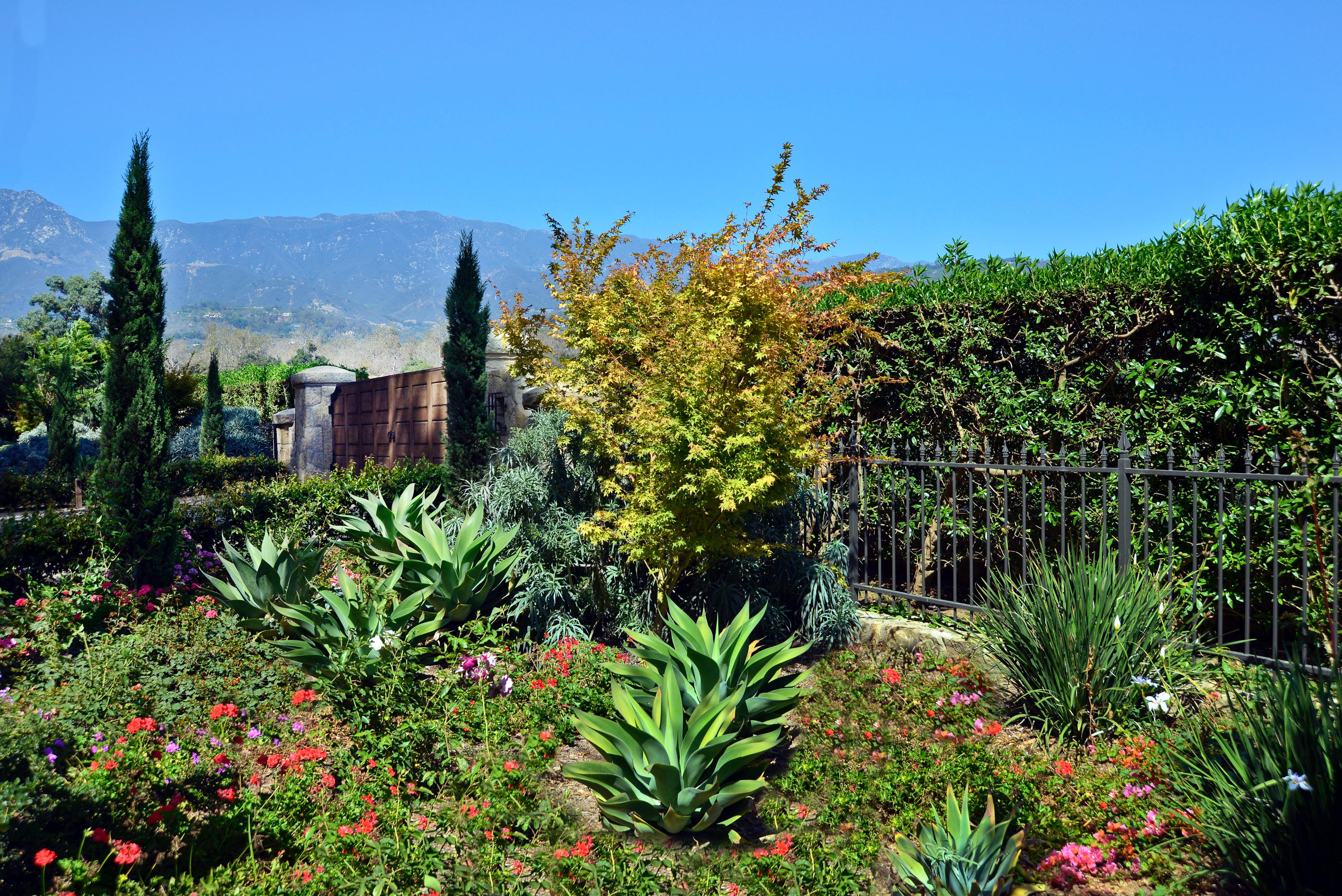 200 Lambert Road Carpinteria, CA 93013 - Photo 6 of 25 a picture of a tree