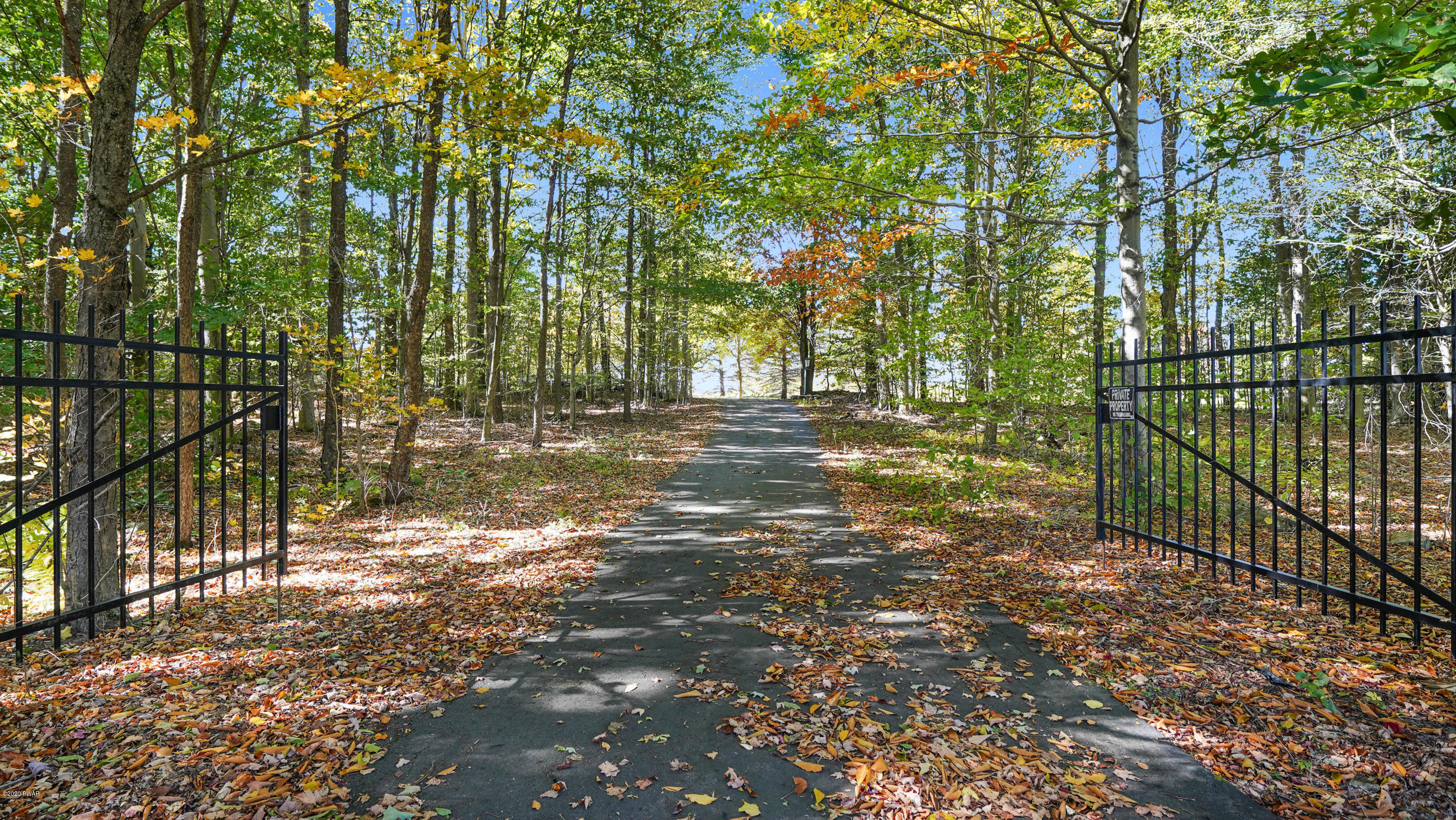 161 J J Road Moscow, PA 18444 - Photo 2 of 73 a view of a yard with plants and trees