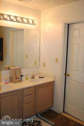 565 Hopewell Road Clear Brook, VA 22624 - Photo 12 of 26 Bath (Master) 2