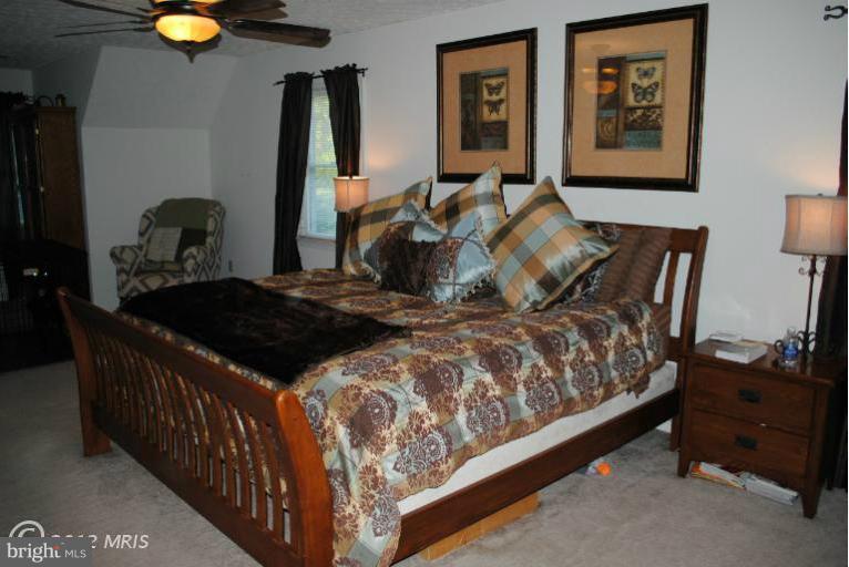 565 Hopewell Road Clear Brook, VA 22624 - Photo 3 of 26 Bedroom (Master)