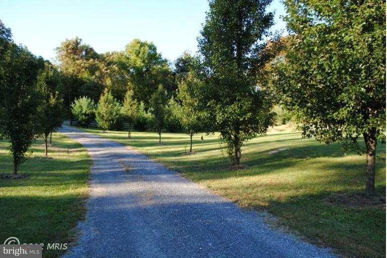 565 Hopewell Road Clear Brook, VA 22624 - Photo 21 of 26 View Driveway