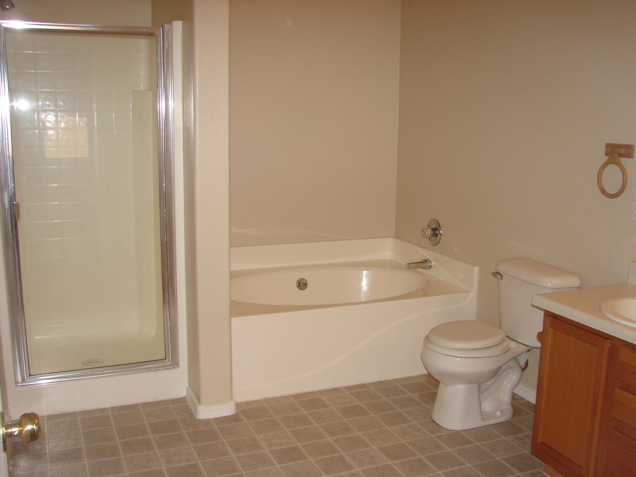9406 West Eaton Road Phoenix, AZ 85037 - Photo 5 of 6 master bathroom