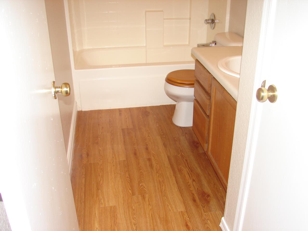 9406 West Eaton Road Phoenix, AZ 85037 - Photo 6 of 6 second bathroom