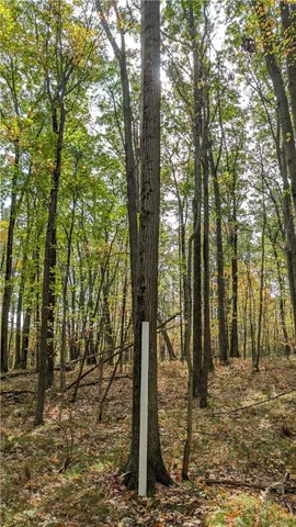 $167,001 | 2801 Highway 436, Nunda, NY 14517