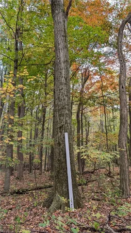 $167,001 | 2801 Highway 436, Nunda, NY 14517