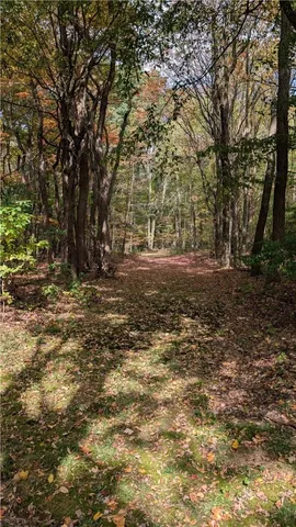 $167,001 | 2801 Highway 436, Nunda, NY 14517