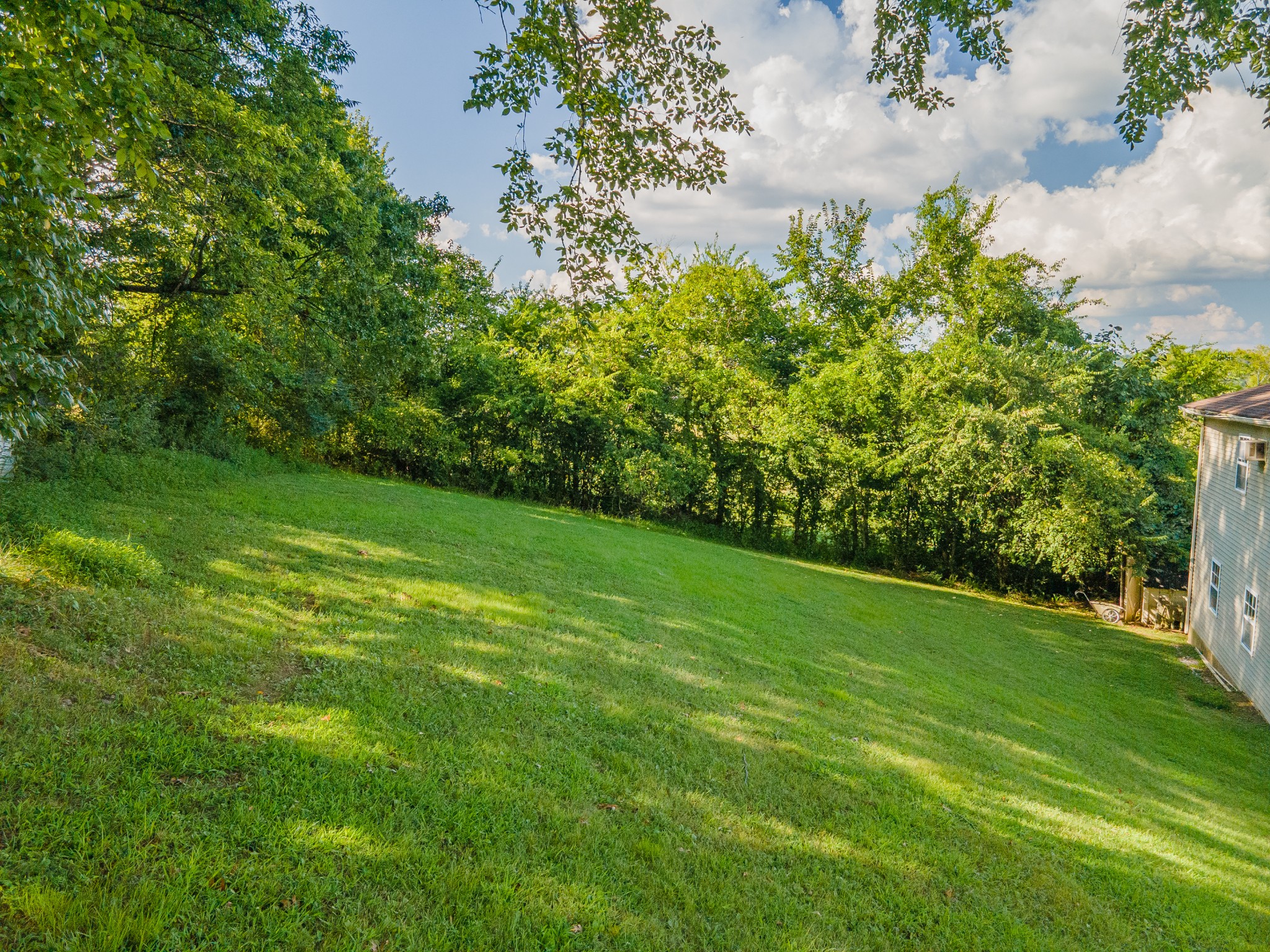1336 Charlotte Drive Pulaski, TN 38478 - Photo 5 of 65 a view of a lush green space