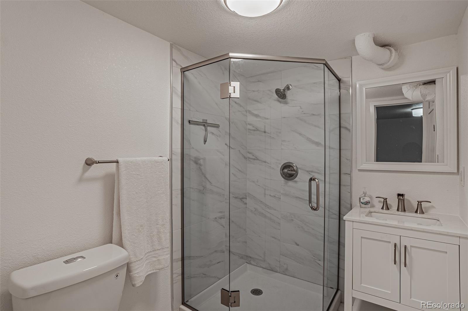3360 Magnolia Street Denver, CO 80207 - Photo 21 of 31 a bathroom with a shower sink vanity mirror and toilet