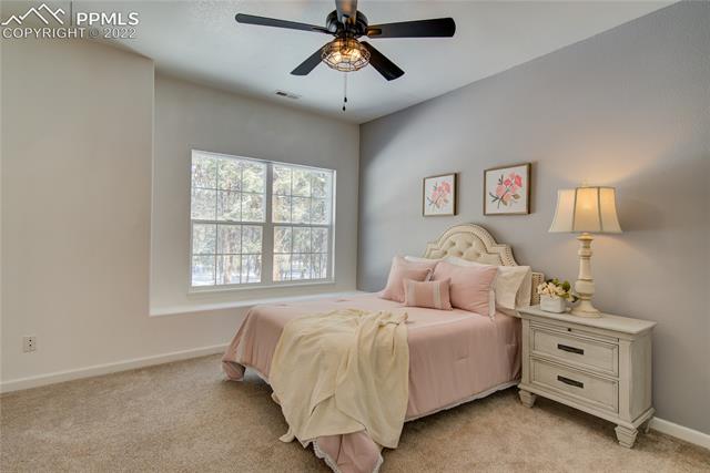 10825 Hardy Road Colorado Springs, CO 80908 - Photo 30 of 50