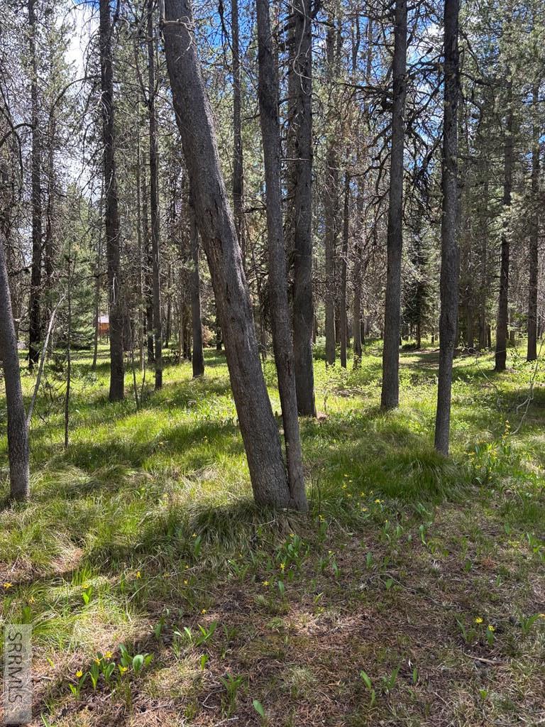 3739 Homestead Road Island Park, ID 83429 - Photo 5 of 31