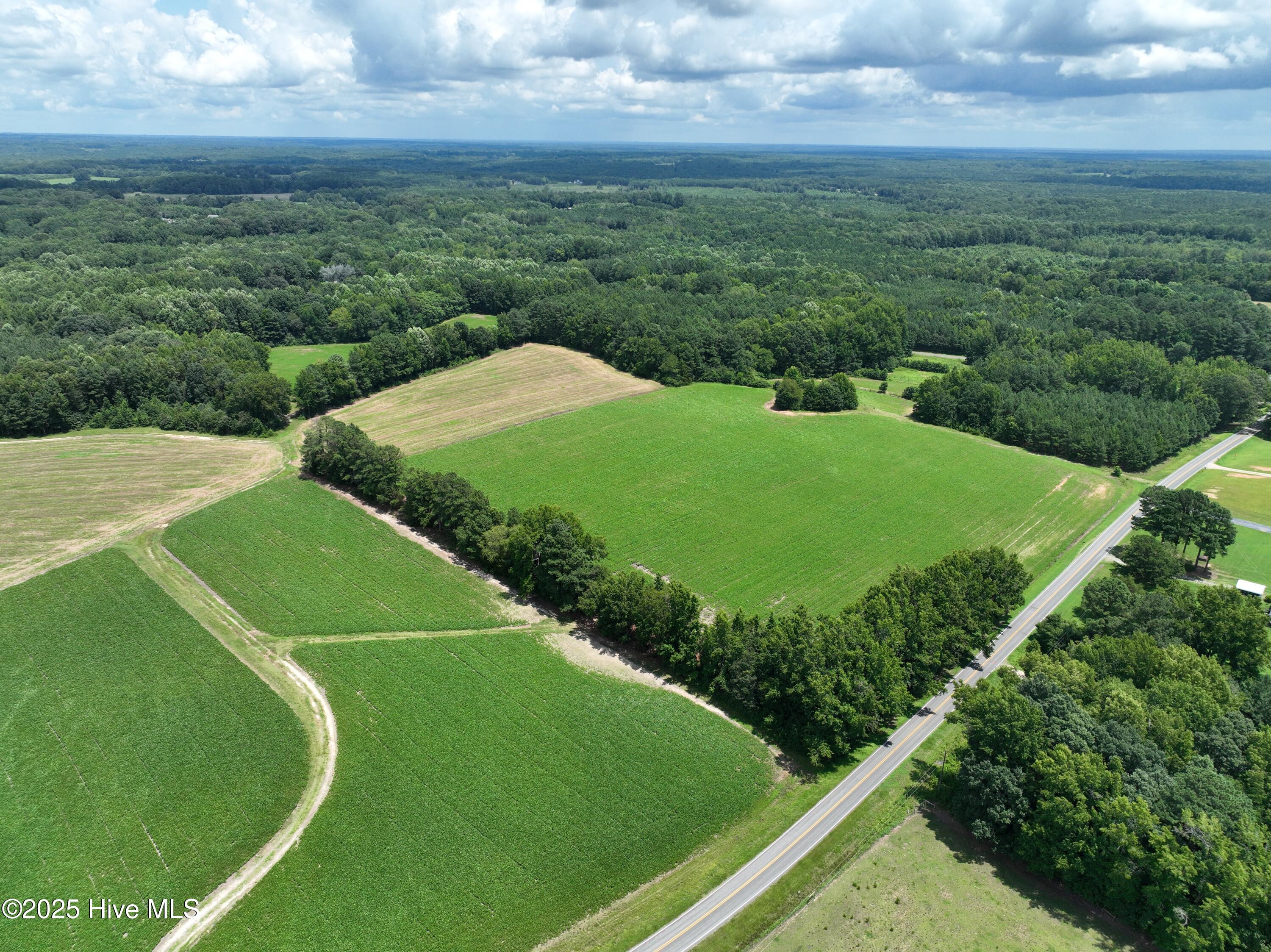 123 Opie Frazier Road Henderson, NC 27537 - Photo 8 of 12 10