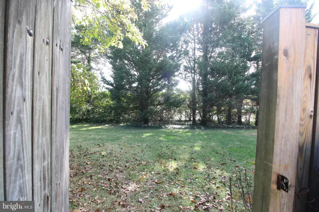 a view of a yard with a tree