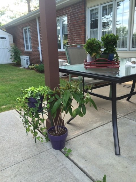 152 Maryland Road Plattsburgh, NY 12903 - Photo 18 of 20 Gallery Image 18