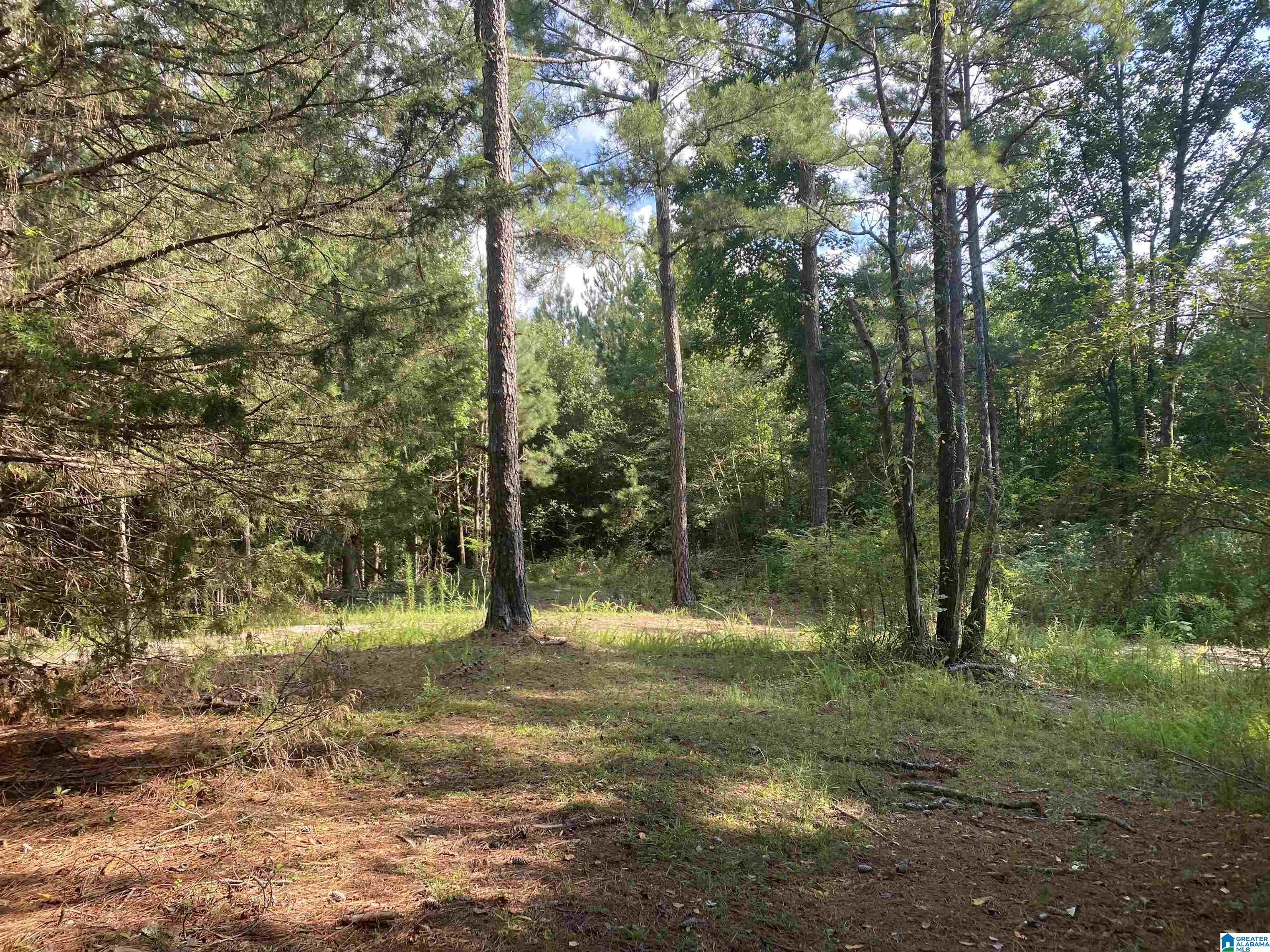 954 County Road 13, Unit 1 Cleveland, AL 35049 - Photo 10 of 19