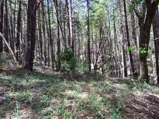 a view of outdoor space and trees