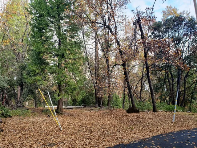 a backyard of a house with lots of green space