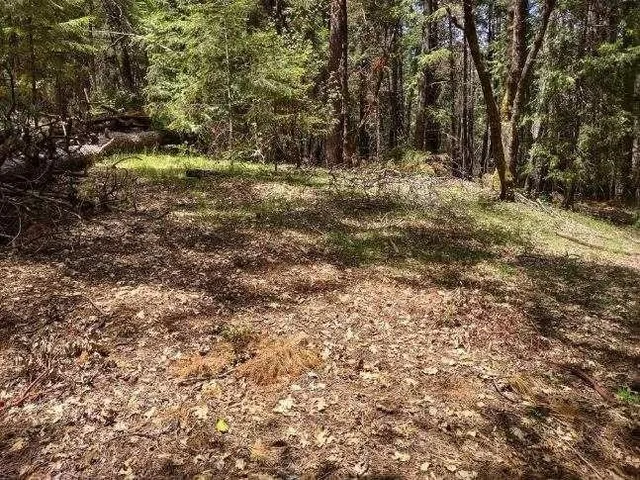a view of outdoor space with trees