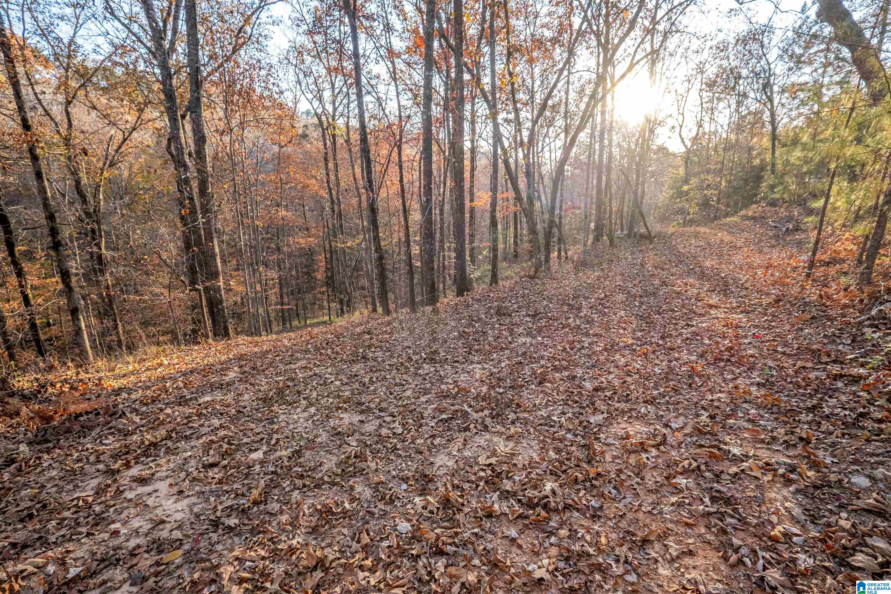 1595 Mohawk Cliff Road Ohatchee, AL 36271 - Photo 60 of 65