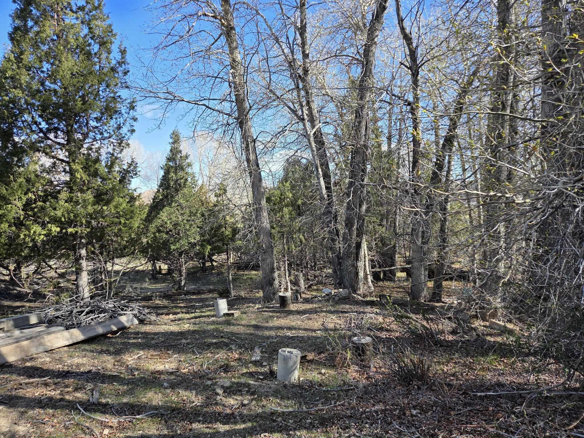 183 Bald Mountain Road Dubois, WY 82513 - Photo 47 of 48