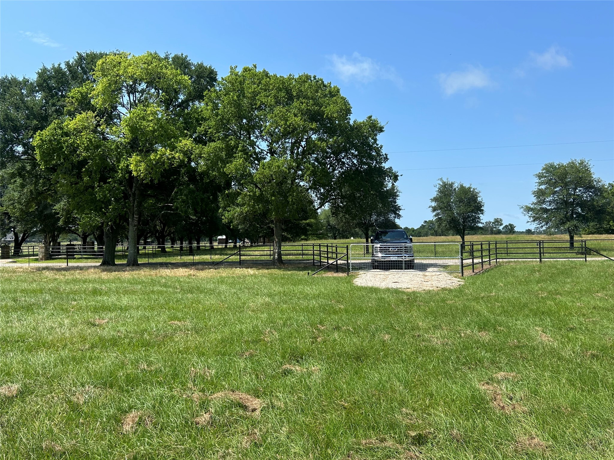 a view of a park with trees