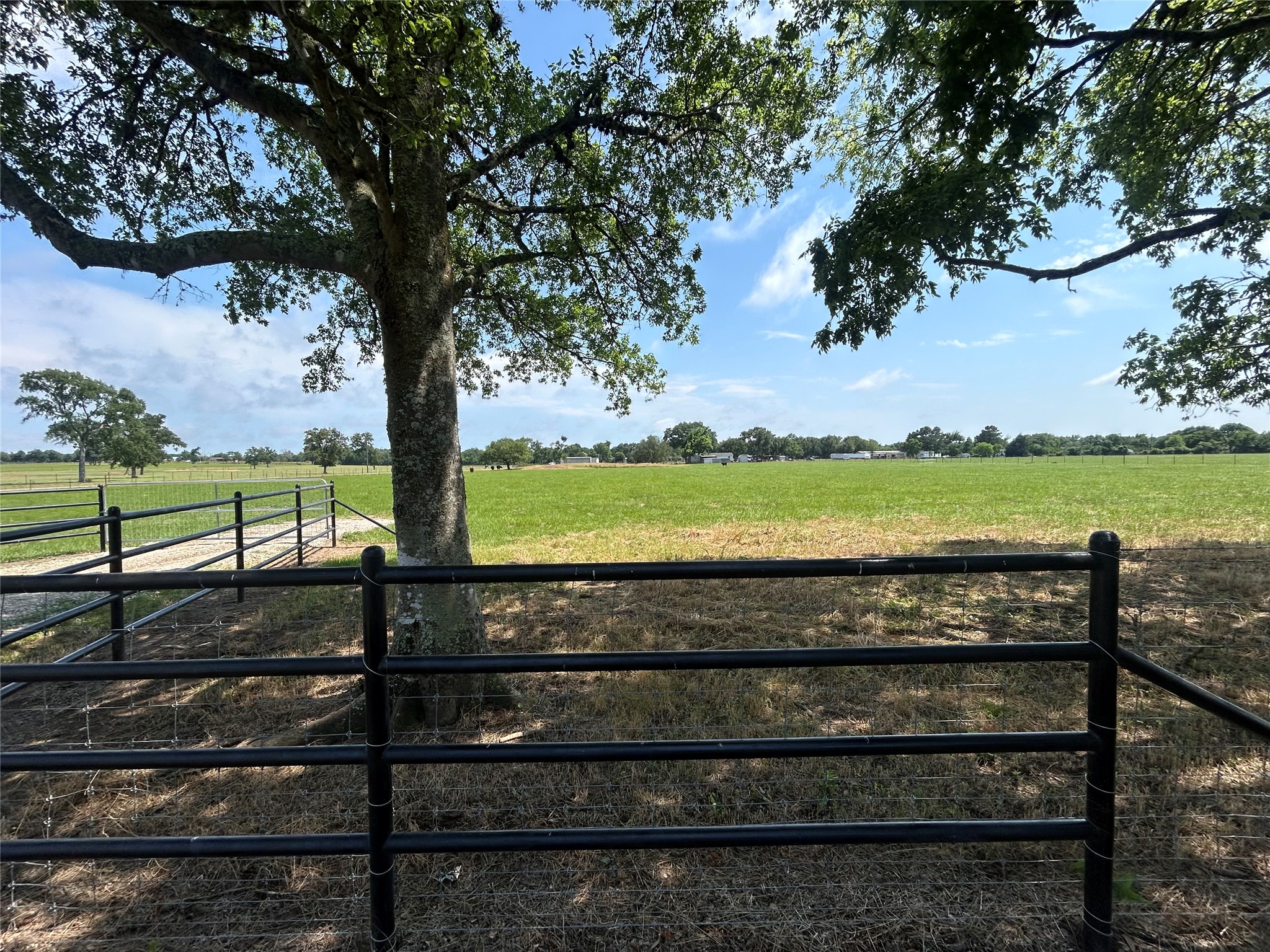 38645 Wiggins Road Hempstead, TX 77445 - Photo 11 of 18 a view of a yard with wooden fence