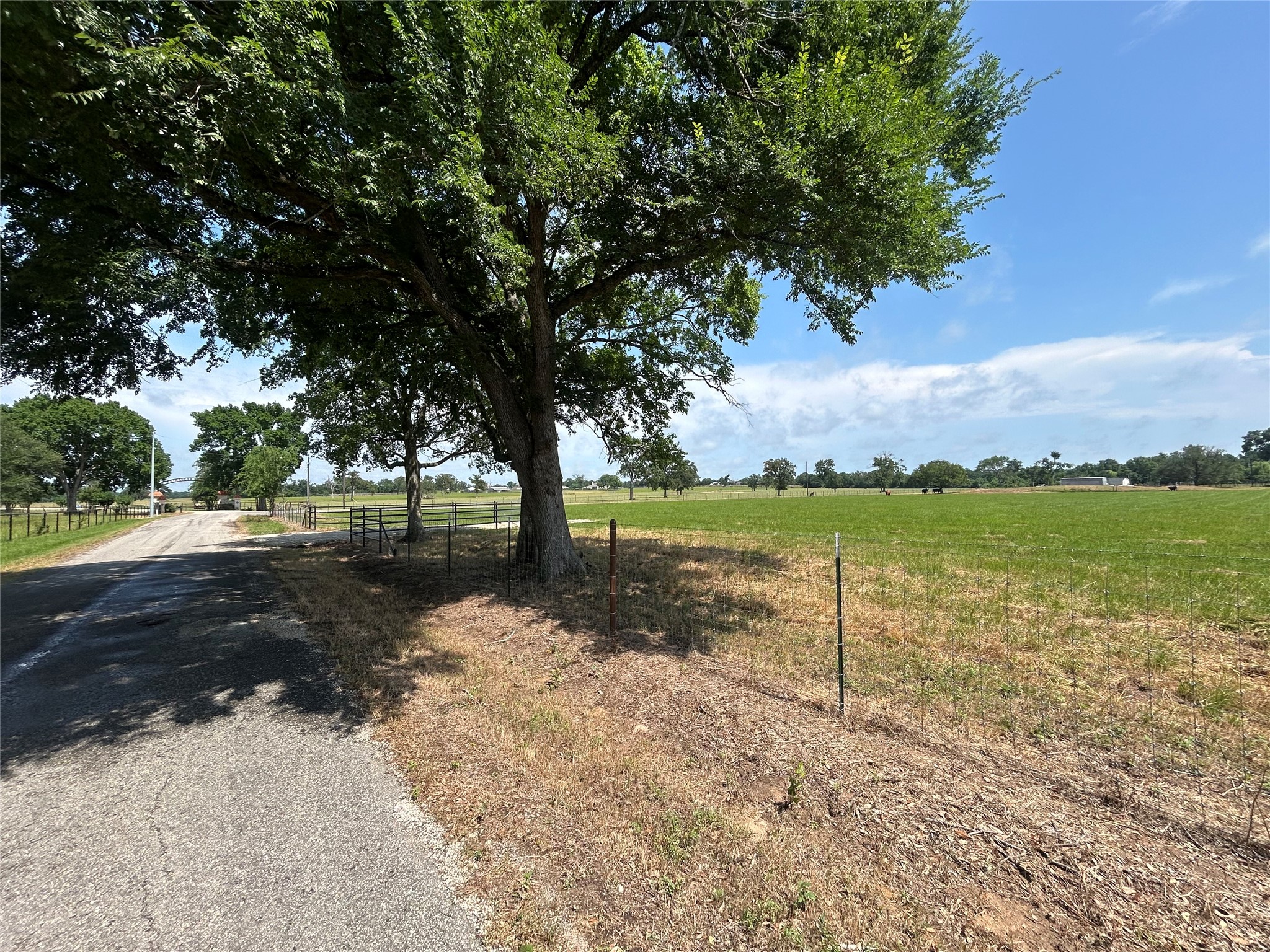 38645 Wiggins Road Hempstead, TX 77445 - Photo 12 of 18 a view of lake with outdoor space