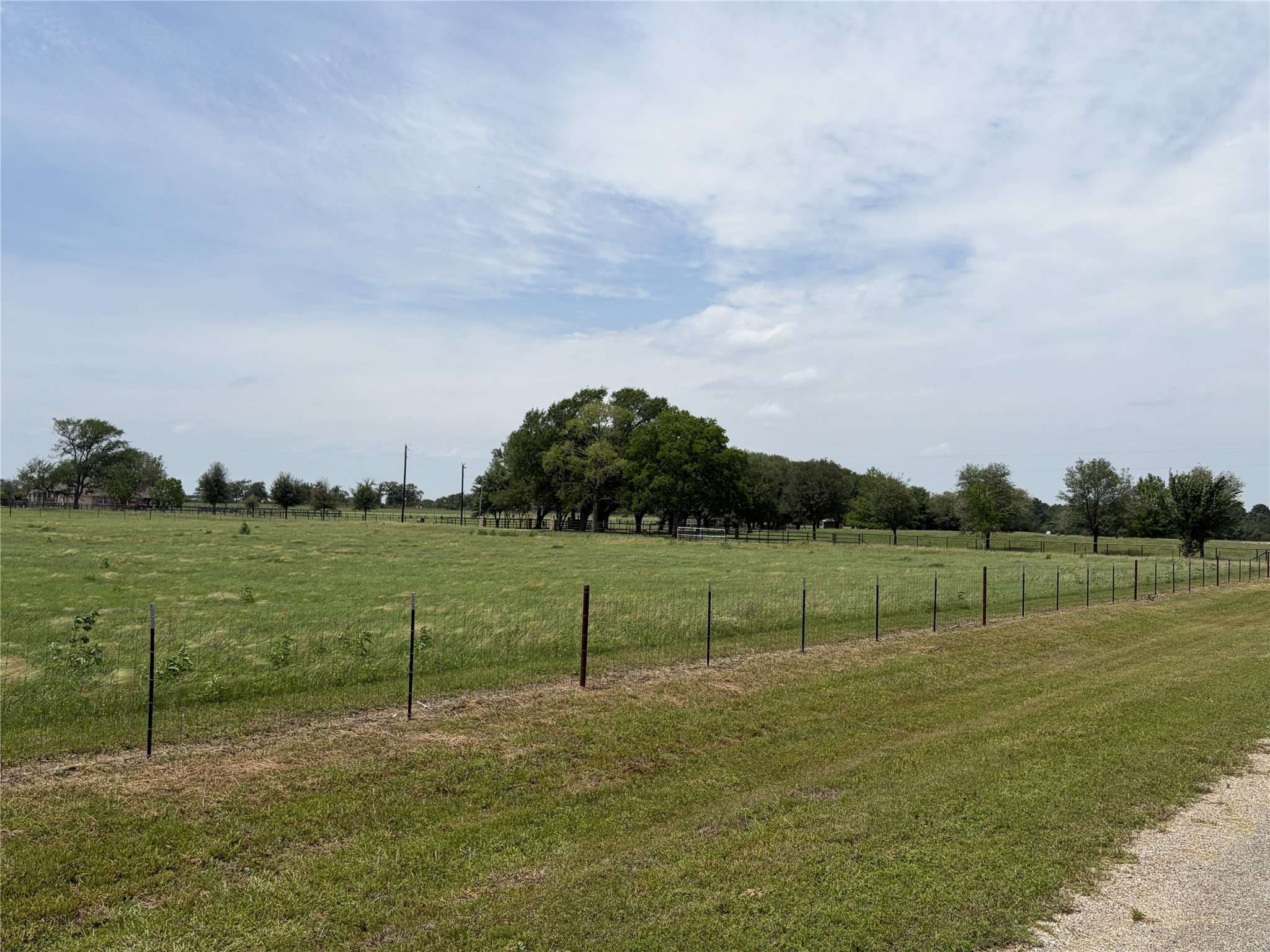 38645 Wiggins Road Hempstead, TX 77445 - Photo 14 of 18 a view of a park