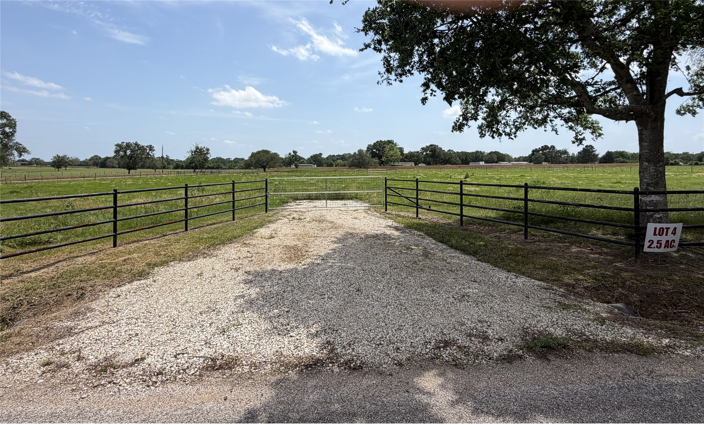 38645 Wiggins Road Hempstead, TX 77445 - Photo 17 of 18 a view of a park with large trees