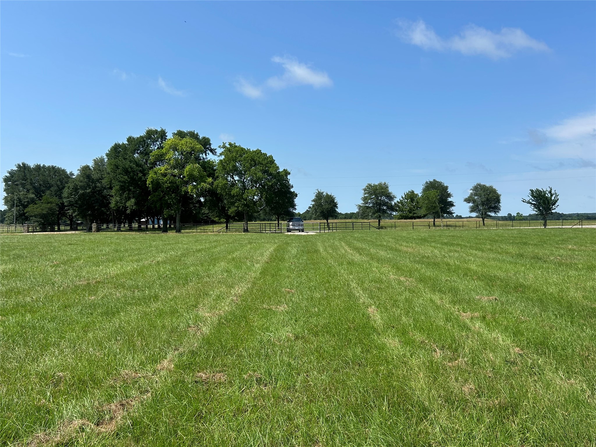 38645 Wiggins Road Hempstead, TX 77445 - Photo 2 of 18 a view of a green field with clear sky