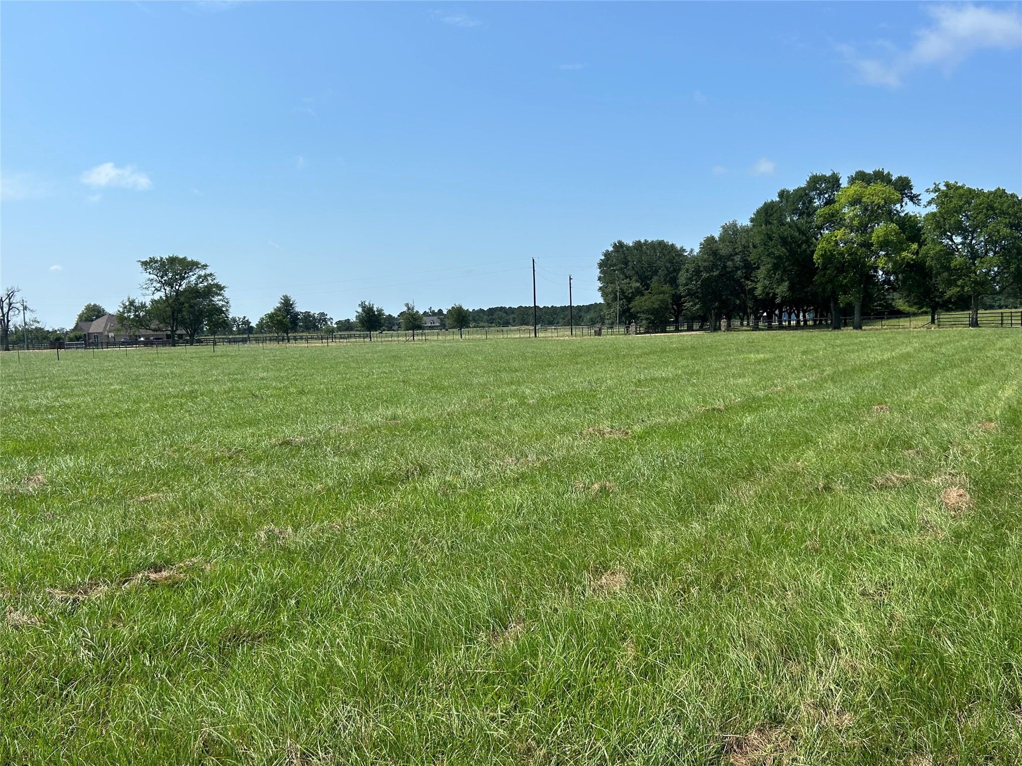 38645 Wiggins Road Hempstead, TX 77445 - Photo 3 of 18 a view of a field of grass and trees