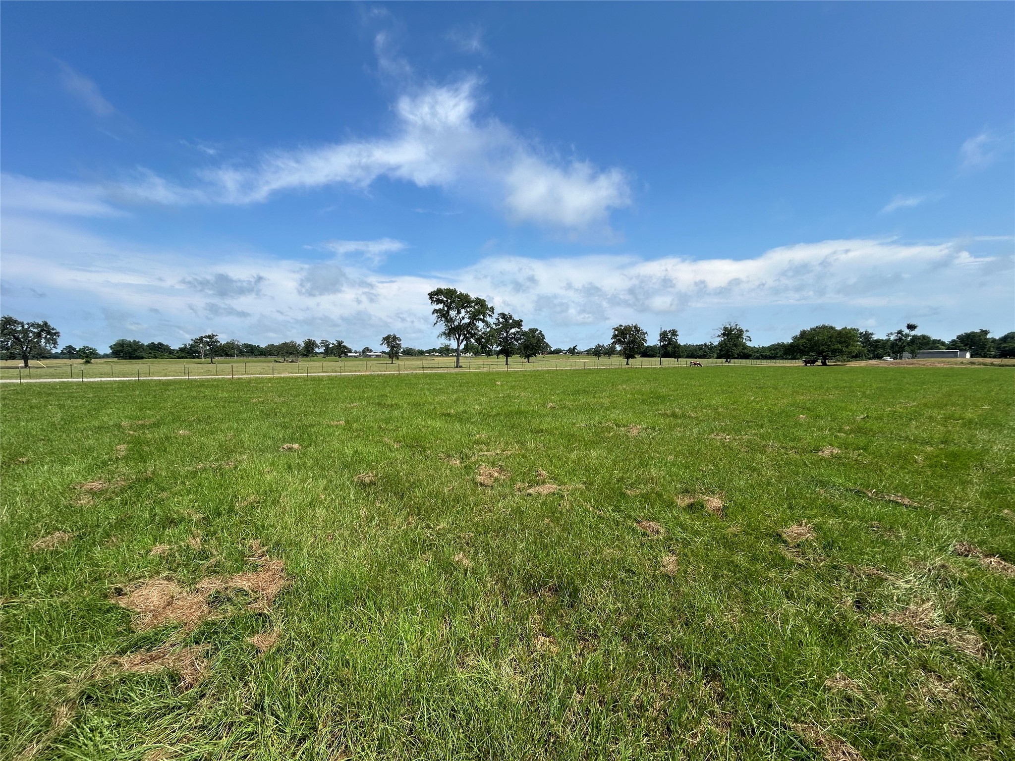 38645 Wiggins Road Hempstead, TX 77445 - Photo 4 of 18 a view of a green field with clear sky