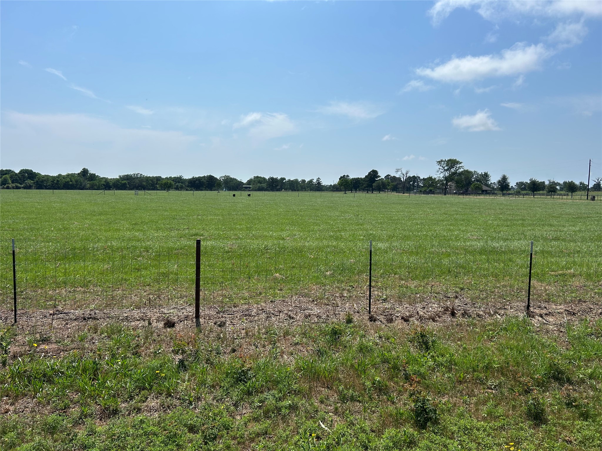 38645 Wiggins Road Hempstead, TX 77445 - Photo 5 of 18 a view of a garden with a lake